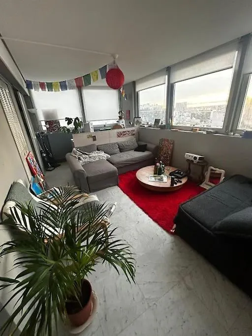 Unique View For Olympics פריז
